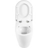 Унитаз приставной безободковый BELBANGO BB105CBR-BB870SC